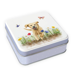 Geschenkdose "Hundespass" 10x10x3,5 cm 