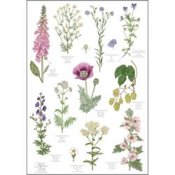 Baumwoll-Geschirrtuch "Klostergarten" ca. 48x76 cm 