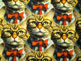 0,1 m Baumwoll-Druckstoff  "Purrfectly Playful - Katze mit Brille" ca. 110 cm Breite 