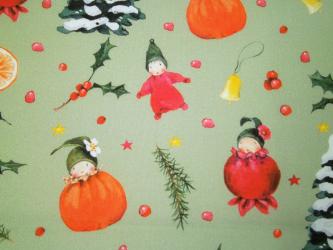 0,1 m Bio-Baumwollstoff "Wintertime" 150 cm breit Dollbelge Fabric 