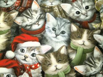0,1m Baumwolldruck "A Purr-Fect Holiday Season - Winterkatzen" ca. 110 cm br. 