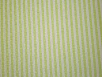 0,1 m Webstoff "Gent limon" feine Streifen 150 cm br. Westfalen 