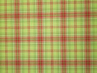 0,1 m Webstoff "Wales"  Karo rot 150 cm br. Westfalen 