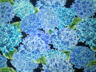 0,1m Baumwolldruck "Hortensientraum - große Blumen" ca. 110 cm br. weiß