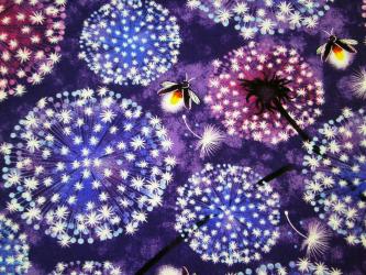 0,1 m Baumwoll-Druckstoff  "Leuchtzauber - Pusteblumen und Glühwürmchen"  110 cm br. 