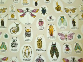 0,1 m Bio-Baumwolldruckstoff  "Into the woods - Insekten" kbA" ca.110 cm br. 