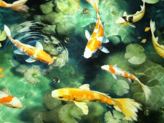 0,1 m Druckstoff  "Koi Pond - Fische" ca. 110 cm br. 