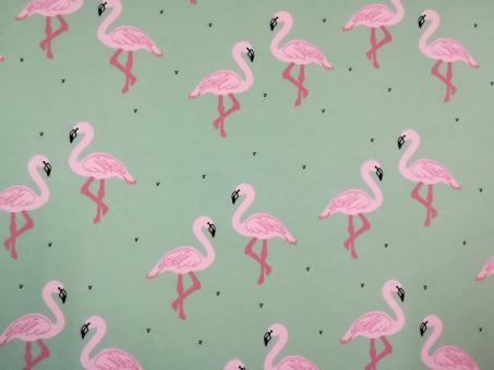0,1 m Single-Jersey  "Flamingo" 160 cm br. Bio-Baumwolle 