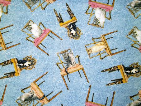 0,1 m Baumwoll-Druckstoff  "Katzen auf Stuhl" ca. 110 cm Breite 