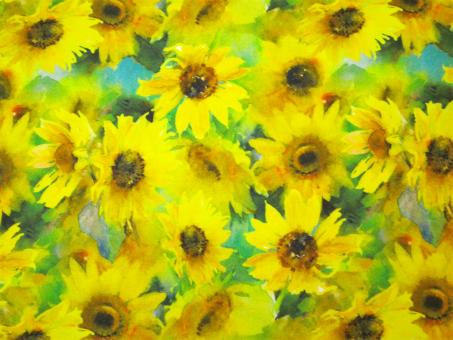 0,1m Baumwolldruck "Aquarell - Sonnenblumen" 114 cm br. 