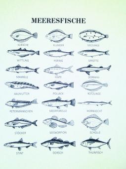 Baumwoll-Geschirrtuch "Meeresfische" ca. 70x50cm 