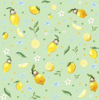 0,1 m Bio-Baumwollstoff "Sweet Lemons - Zitronenkinder" 150 cm breit Dollbelge Fabric 